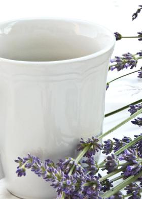 lavender-1636593-1920